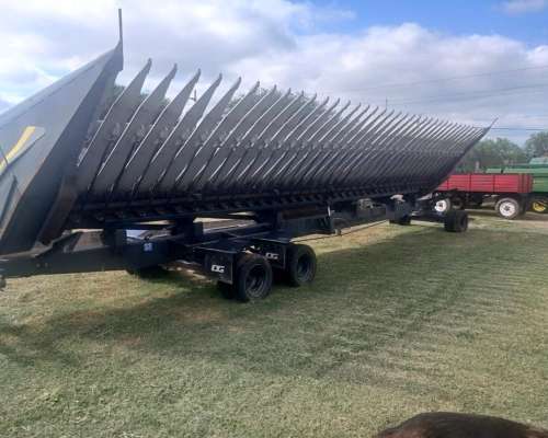 Girasolero de Grande DGG-24