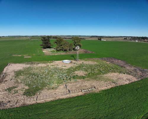 Tres Arroyos, Buenos Aires - 120 Ha