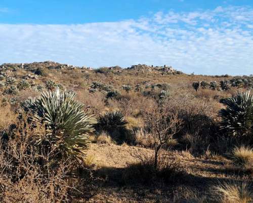Campo de 62 Ha con Río Propio, Escritura. Caminiaga, Córdoba
