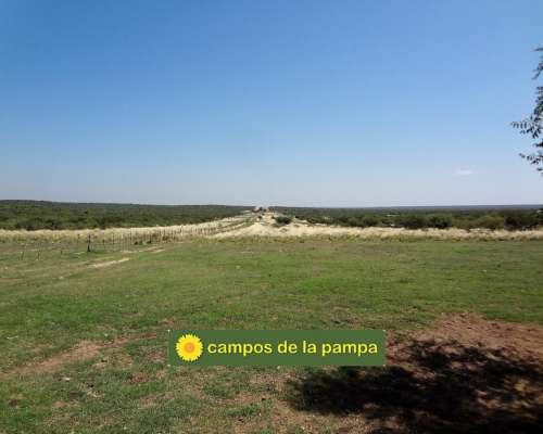 La Pampa - Venta Estancia 10.200 Ha Caldenal y Cultivo