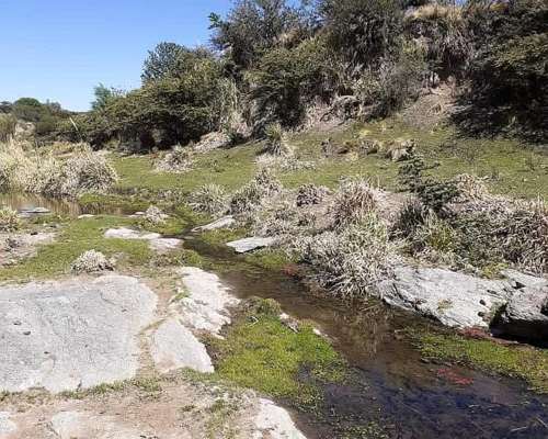 Campo Ganadero Mixto Cordoba