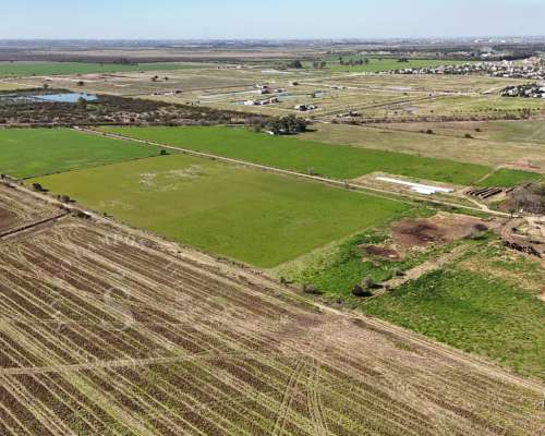 Campo Venta Santo Tomé, Santa FE. Zona Countries. 54 Ha