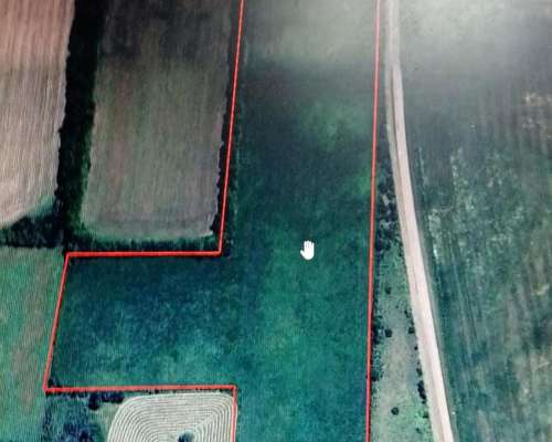 8 Ha Campo Agrícola.- a Pocos km de Nogoyá