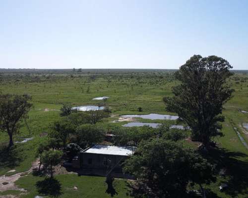 Venta / Campo Ganadero 1385 Hectáreas / Huanqueros