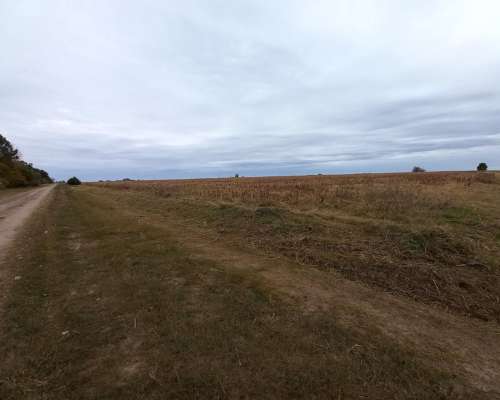 Campo Agrícola de 18 Hectáreas en Pavón (santa FE)