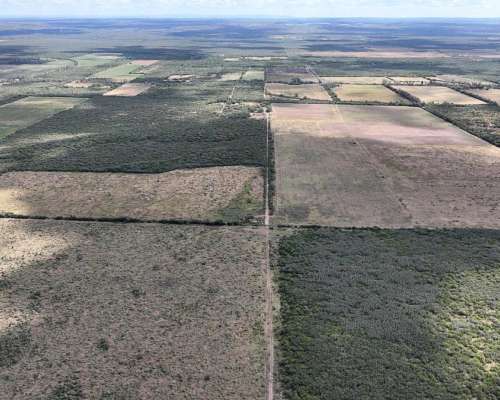 Concaran, San Luis - 373 Ha
