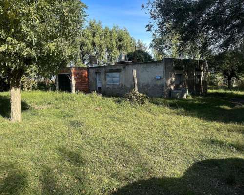 25 Hectáreas en Pedro Luro