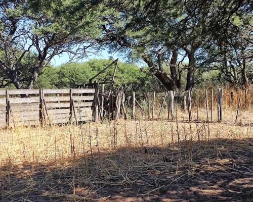 Villa Mercedes SUR 300 Has