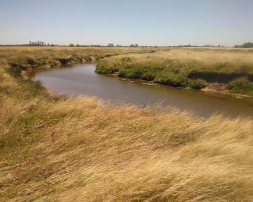 Ofrezco Arrendamiento 155 Has. Ganaderas Pergamino 100 Kg/ha