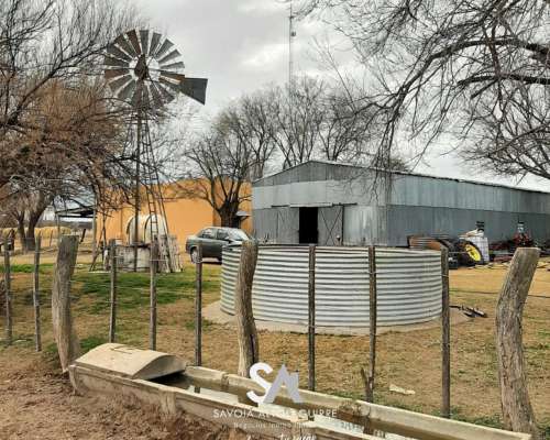 Vende: Campo Ganadero de 2010 Hectáreas en General Acha, DEP