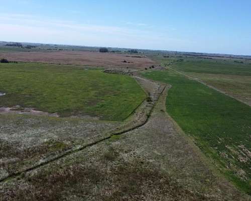 Campo Agrícola en Alquiler