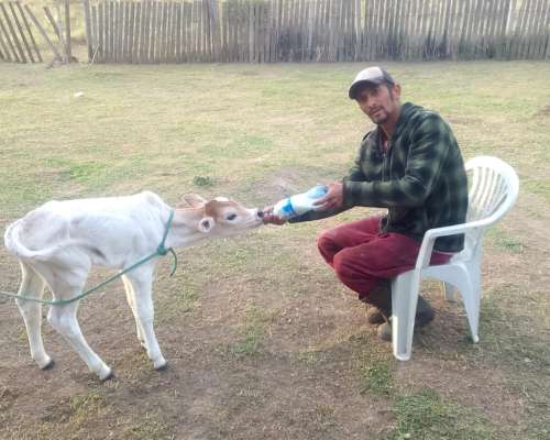 2.895 Ha en Paraguay- Magnífica para Ganadería