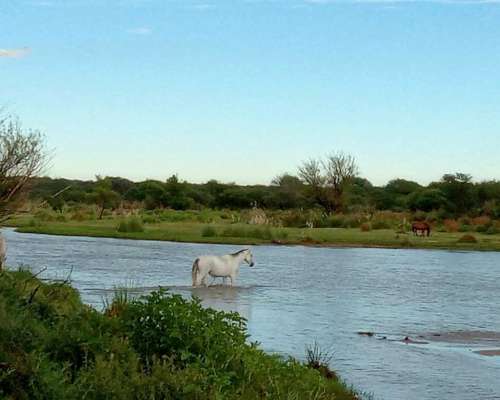 Vendo Campo con Rio en Villa Mercedes