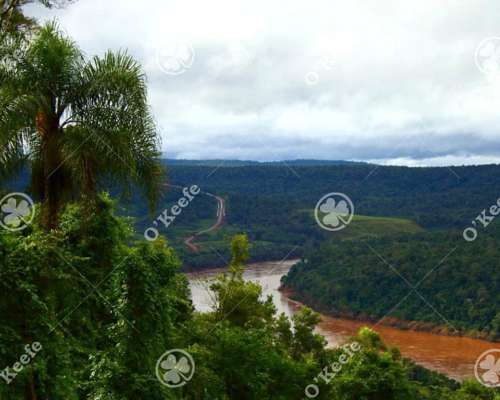 Campo en Venta 84.000 Has Bosque Nativo Misiones