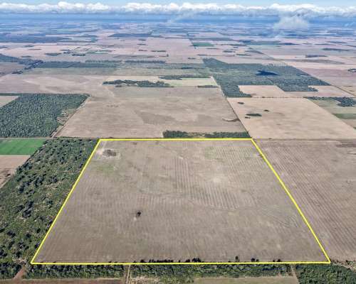 73 Has en Venta - Pcia del Chaco, las Breñas