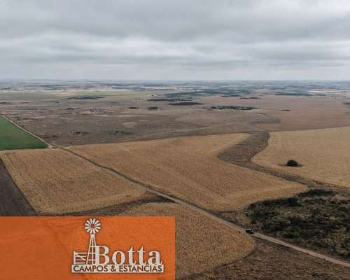 Campo Alfalfero en Venta — 1.220 Has Batavia, San Luis
