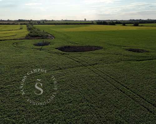 Campo 100% Agrícola. Dto. la Capital, Santa FE. 67 Has.