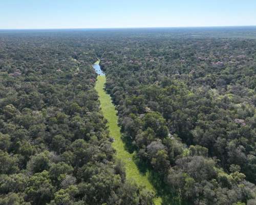 Alto Alegre, Patiño, Formosa - 46.106 Ha
