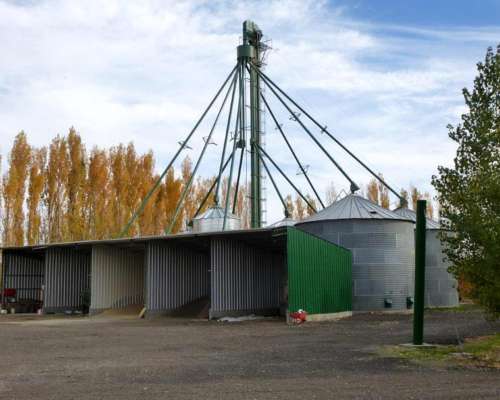 Excepcional Feed LOT en Neuquén 18 Ha
