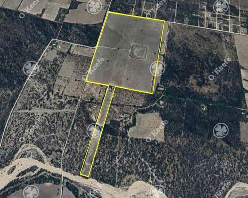 Campo en Venta de 44 Has, Cortaderas, San Luis. Nogales.