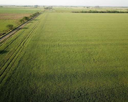 38 Has Agrícolas Venta Pujato Norte - las Colonias