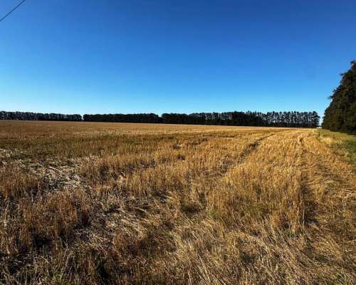 Campo 114 Hectáreas Agrícolas C/ Excelentes Mejoras.