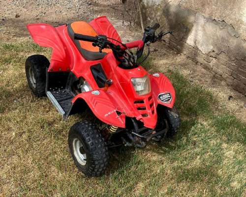 Cuatriciclo Panther 70cc Niño