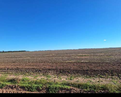 Vendo 1500 Ha de Campo Agrícola en Vilelas