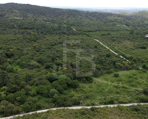 Terreno en Venta 1 Hectárea, Valle Buena Esperanza, Alta GRA