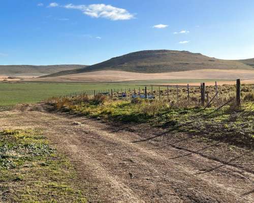 Tandil, Buenos Aires - 850 Ha