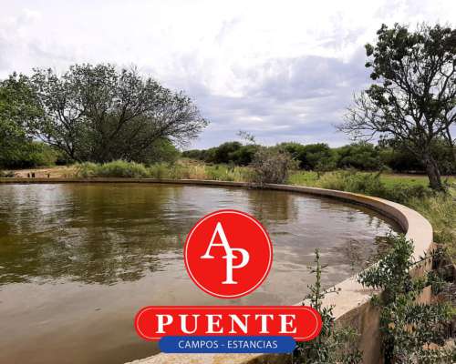 En Venta 2600 HA. Carro Quemado, la Pampa
