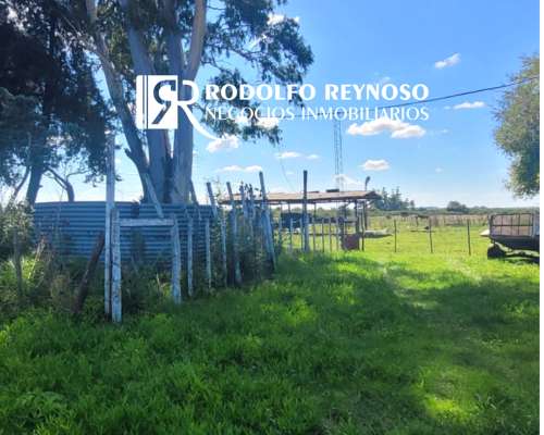 7 HA. en Gualeguaychú - Sobre Ruta 20