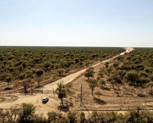 Guanaco Muerto, Cruz del Eje, Córdoba - 4.500 Ha