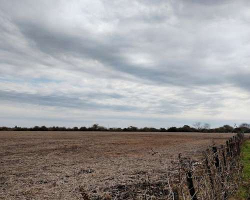 Se Vende Campo en Zona María Grande 2da, Entre Ríos - 100 Ha