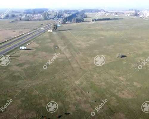 Campo en Venta 106 Has Brandsen. Apto Desarrollo