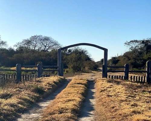 Sauce, Corrientes - 2.499 Ha