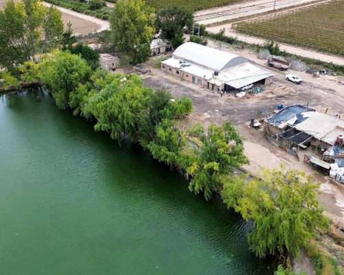 100 Ha los Alamos Beltran 3 Pozos