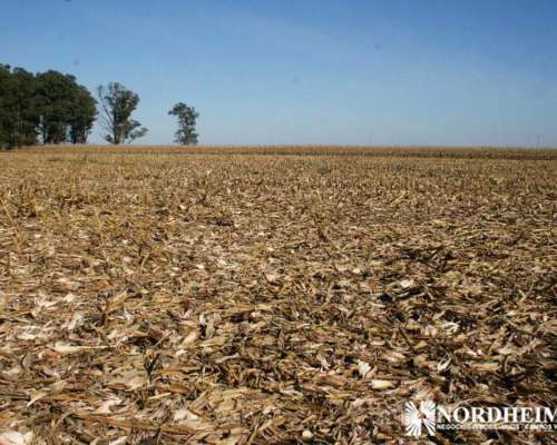 General Belgrano, Buenos Aires - 95 Ha