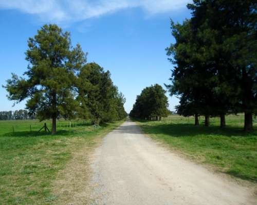 Campo Mercedes - Producción y Turismo