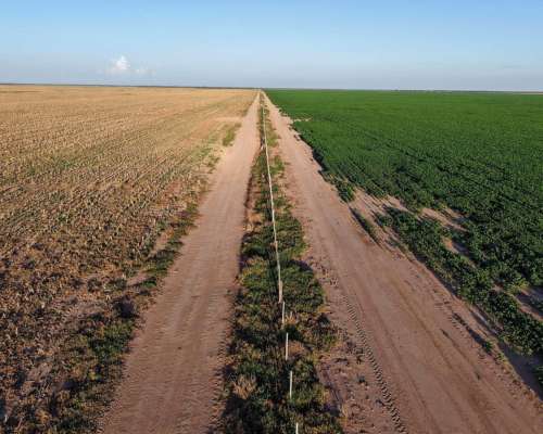 Tobas, Juan Felipe Ibarra, Santiago del Estero - 3.580 Ha