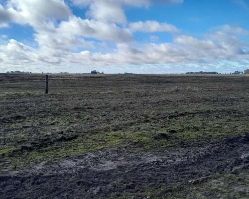 Urg 131 Has Mixtas Maiz-soja en $ 2900 X Ha Zona Ruta 205