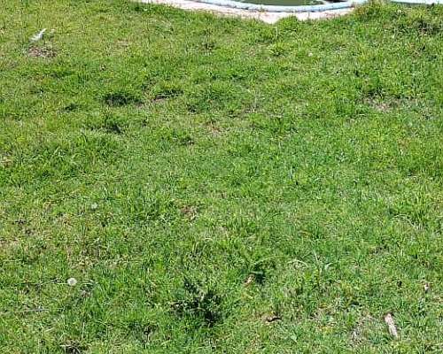 Campo en San Luis. Ubicación Estratégica e Infraestructura