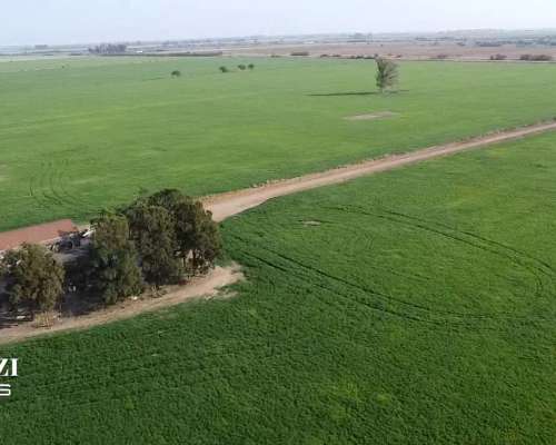 150 Ha Agricolas en Hersilia Sobre RP 38. IP 52%