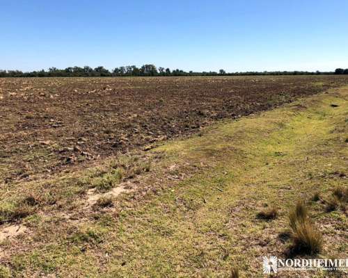 Concaran, Chacabuco, San Luis, Argentina