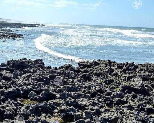 Campo en Venta de 135 Has en Tres Arroyos