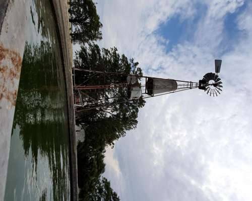 880 Has Sobre Ruta 51 Ganaderas