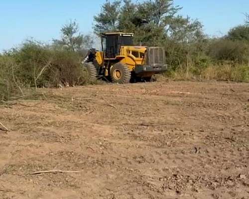 Alquiler de Campo Paraguay Galeliano