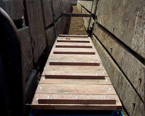 Balanza Vesta para Hacienda