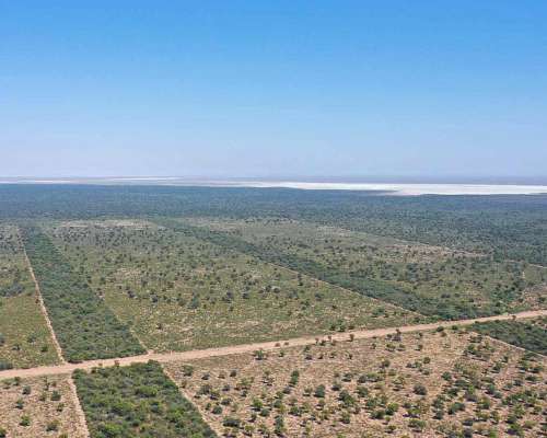 Pcia. de Santiago del Estero - Ambargasta 8903 Has