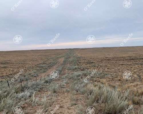 Campo en Venta 28000 Has, Gral Alvear, Mendoza